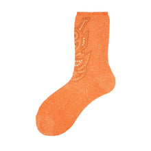 CLEO DONNA CORTO